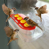 A suction cup hummingbird feeder with a transparent reservoir and red nectar, featuring birds in flight.