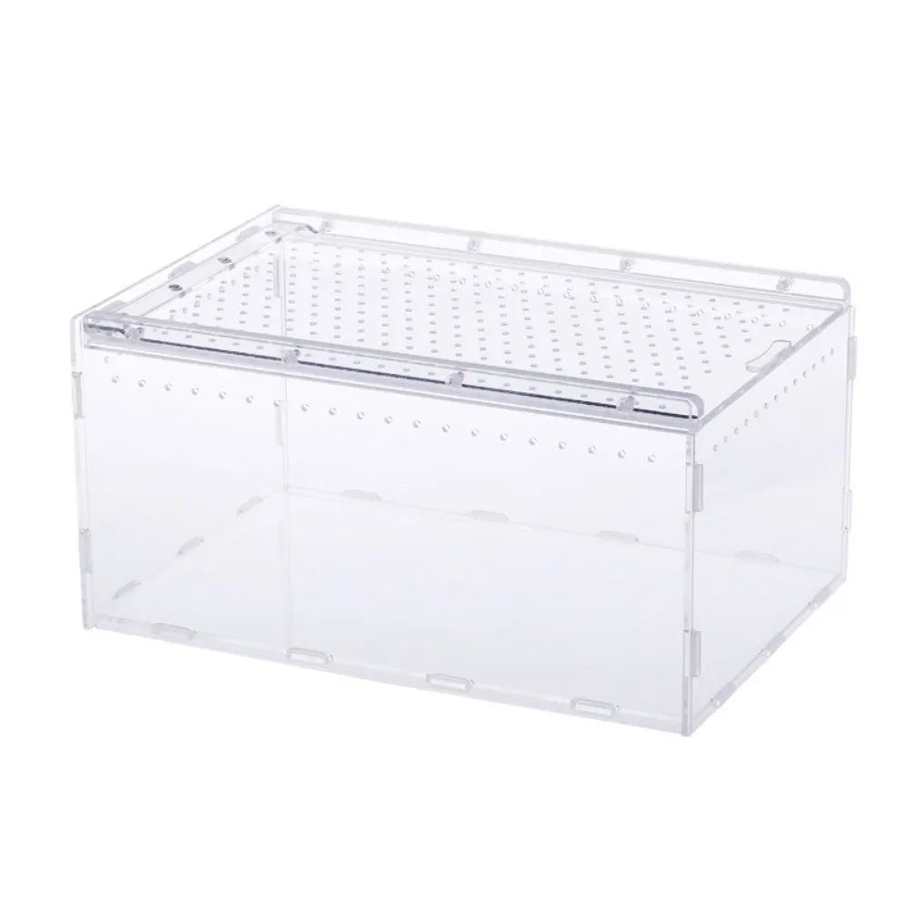 Écaille en plastique transparent avec couvercle et multiples petits trous de ventilation.