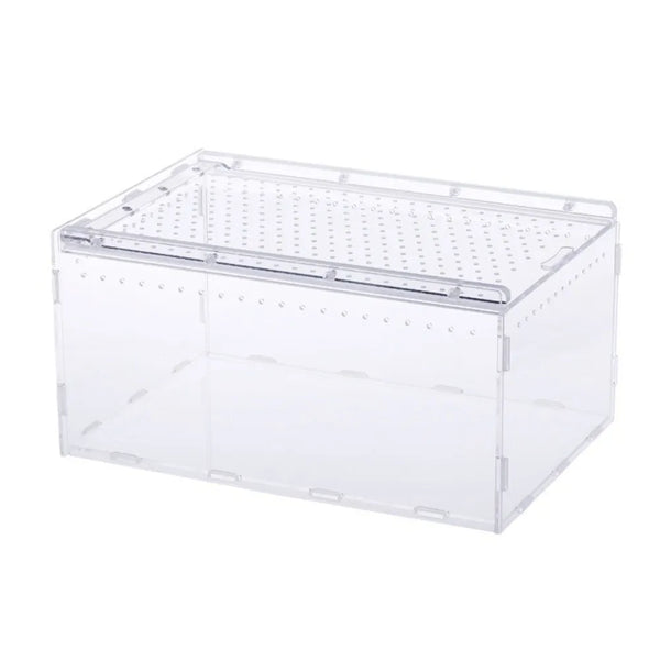 A clear plastic reptile terrarium enclosure with a lid and multiple small holes for ventilation.
