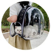Una persona sostiene una mochila transportadora transparente con un gato dentro, demostrando el modelo.