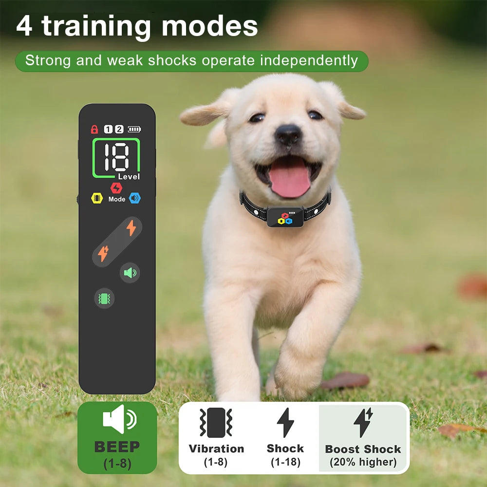 A light-colored puppy wearing a dog training collar with a remote control, demonstrating four training modes.