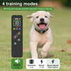 A light-colored puppy wearing a dog training collar with a remote control, demonstrating four training modes.