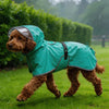 A brown dog wearing a teal raincoat with a clear hood running across a green lawn in the rain.