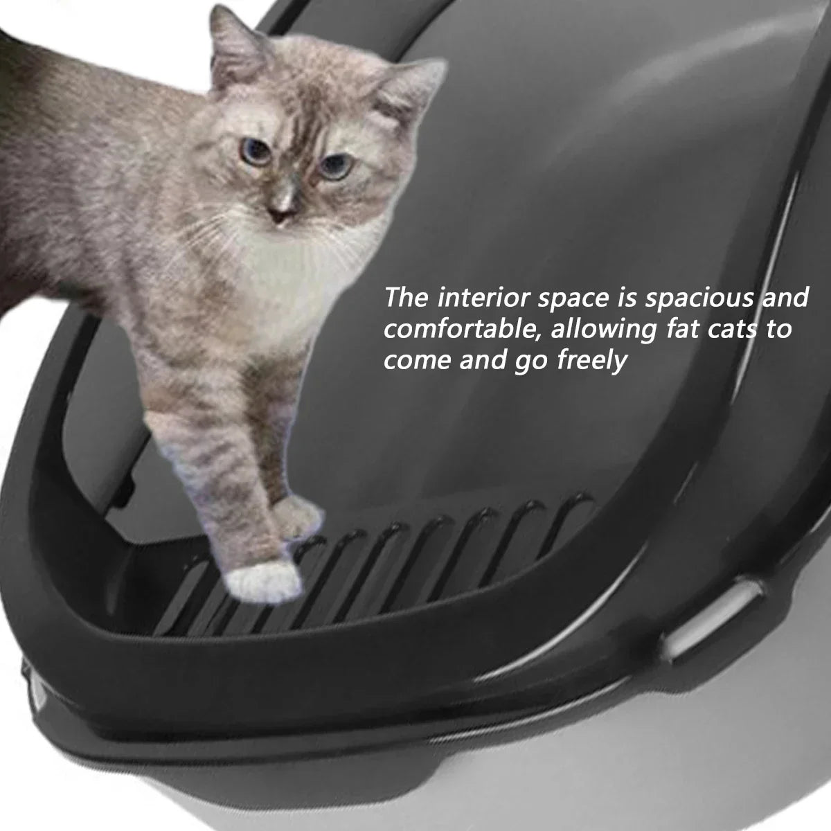A gray cat is looking into a semi-enclosed litter box with high sides and a splash guard.