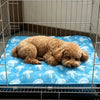 A fluffy golden-colored dog is resting on a blue cooling gel pet mat inside a wire cage.