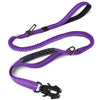 Purple reflective bungee dog leash with a black car seatbelt clip.