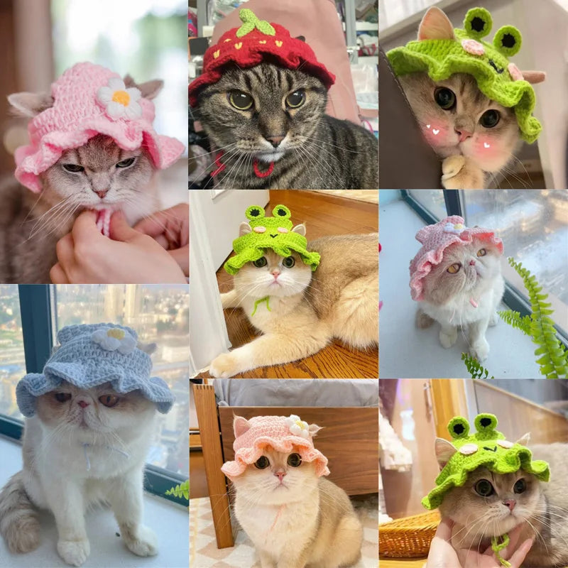 A collection of cute knitted pet hats worn by cats and dogs in various colors and styles.