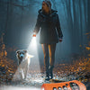 An orange flashlight illuminating a dog in a forest setting, demonstrating emergency light mode.