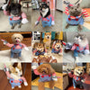 Collection de tenues amusantes pour chiens et chats, avec combinaisons et accessoires.