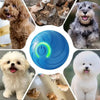 Eine Sammlung von Hunden und Katzen, die mit einem blauen interaktiven Spielball für Haustiere interagieren.