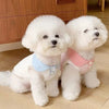 Two white poodle puppies wearing pink and blue breathable cotton shirts