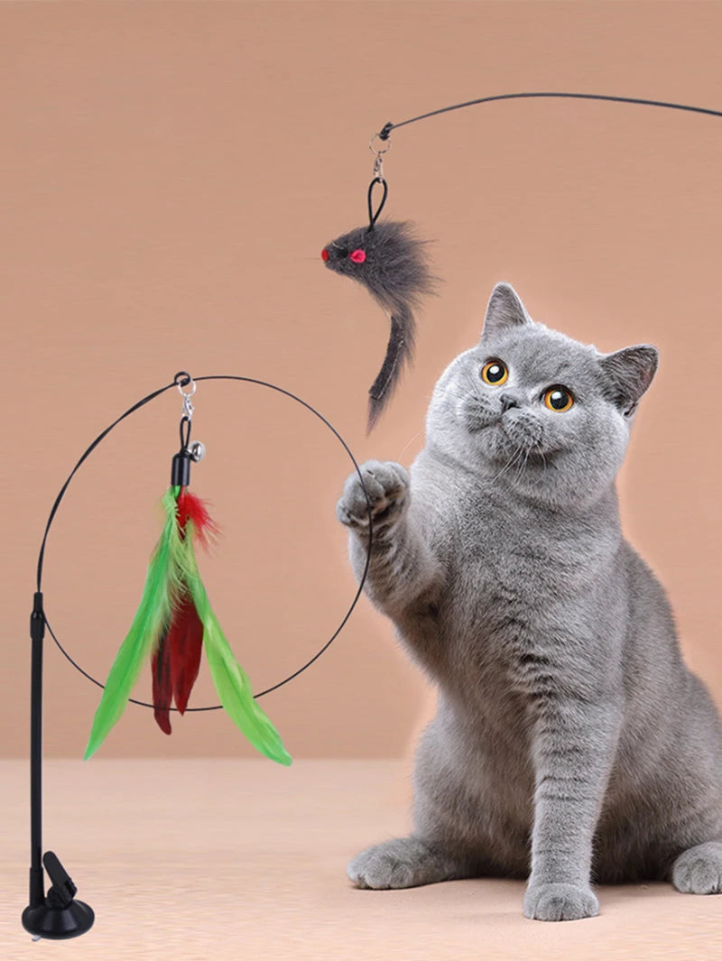 A gray cat is sitting next to an interactive teaser wand with a feather bird and bell hanging from a line.