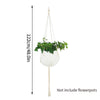 White macrame plant hanger with a hanging plant and a long cord for indoor or outdoor decor