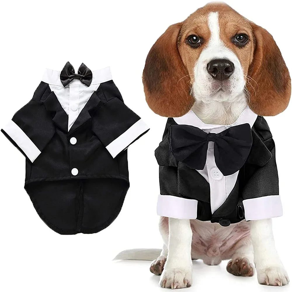 A dog wearing a black tuxedo bow tie outfit with white accents.