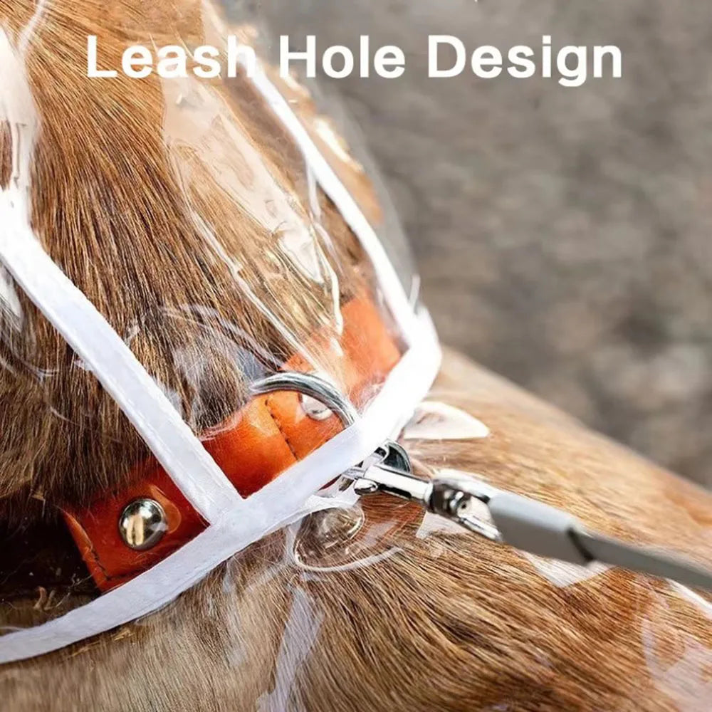 Nahaufnahme einer Leinenloch-Design auf einem durchsichtigen, wasserdichten Hundewäschemantel eines Hundes.