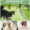 Un jouet d'octopus chien vert est joué avec par un chien noir, à côté de plusieurs chiens.