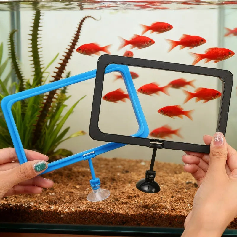 Des mains tiennent un anneau d'alimentation bleu avec un cadre noir, positionné au-dessus d'un aquarium rempli de poissons ro
