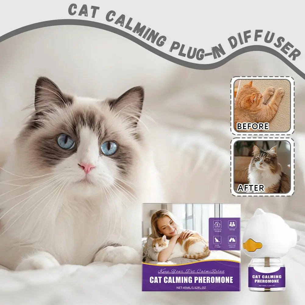 A fluffy cat is shown next to a plug-in diffuser for calming cat pheromone.