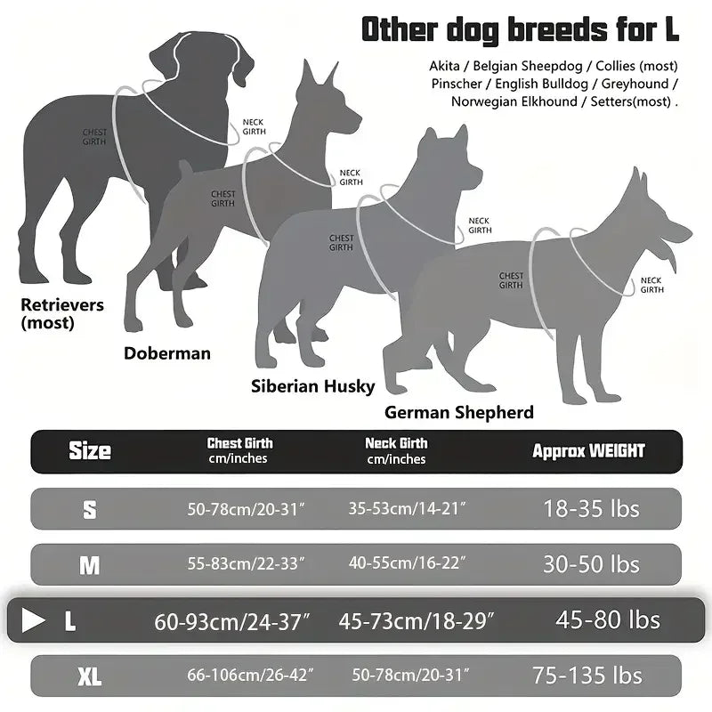 A comparison chart showing sizes and weights for different dog breeds including Retrievers, Doberman, Siberian Husky, and Ger