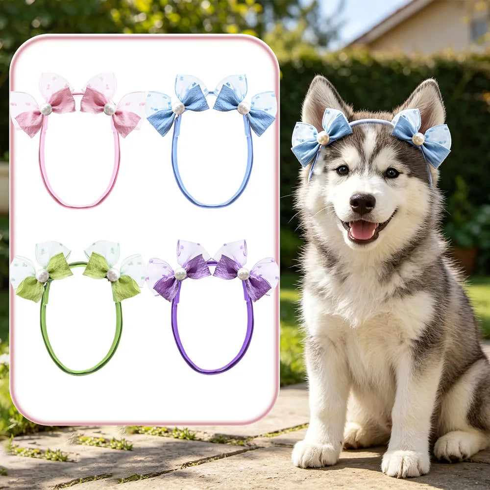 A fluffy dog is sitting next to a display of various handmade dog hair bow sets in pink, blue, green, and purple.