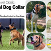 A collection of tactical dog collars and GPS accessories for dogs, including leather and nylon styles.
