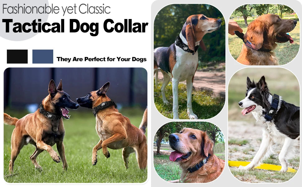 A collection of tactical dog collars and GPS accessories for dogs, including leather and nylon styles.