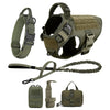 A set of olive green dog harness, leash, and pouch for training and walking.