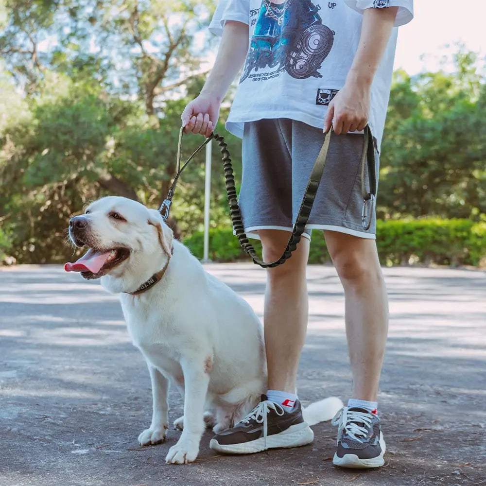 A person is holding a heavy-duty tactical dog leash with dual handles and bungee attached to a white dog outdoors.