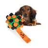Ein brauer Hund schaut auf ein orange-schwarz gefliestes Snuffle-Spielzeug mit grünem Stoff.