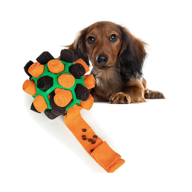 Ein brauer Hund schaut auf ein orange-schwarz gefliestes Snuffle-Spielzeug mit grünem Stoff.