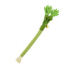A green catnip molar stick toy with a fibrous end and a small gold charm.