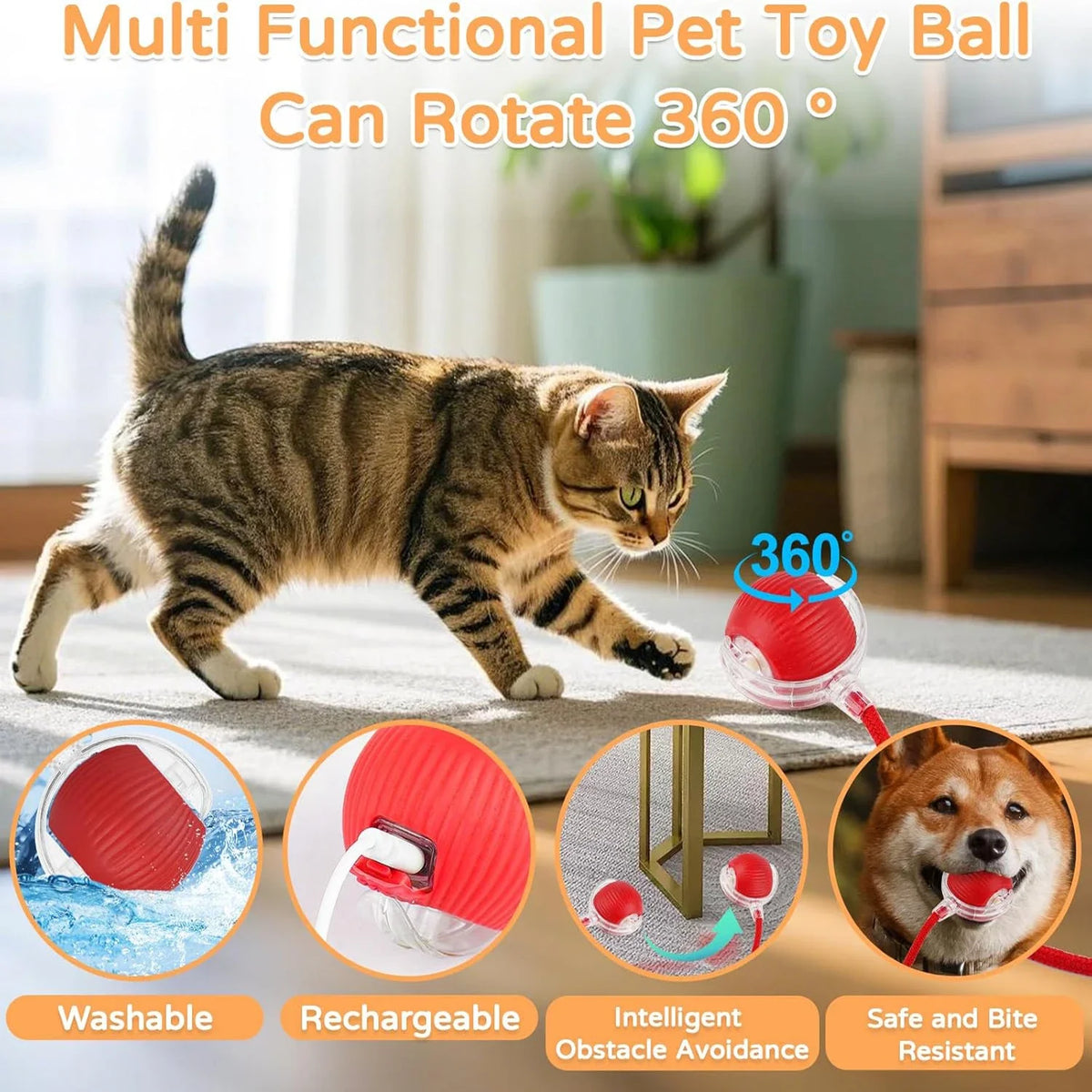 A multi-functional pet toy ball that can rotate 360 degrees, shown next to a tabby cat and various features.