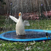A white goose is spraying water into a blue inflatable splash pad for dogs and kids.