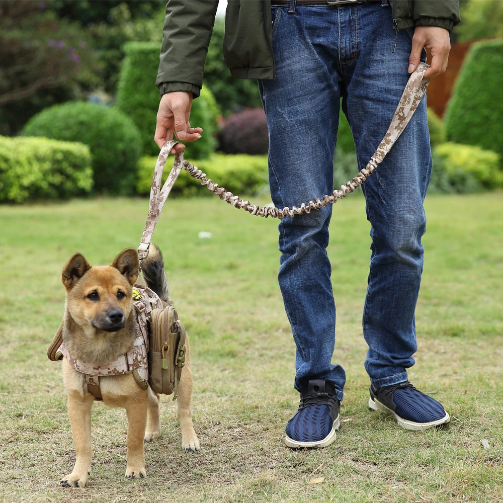 A person holds a heavy-duty tactical dog leash with dual handles and bungee attached to a small dog in a grassy outdoor setti