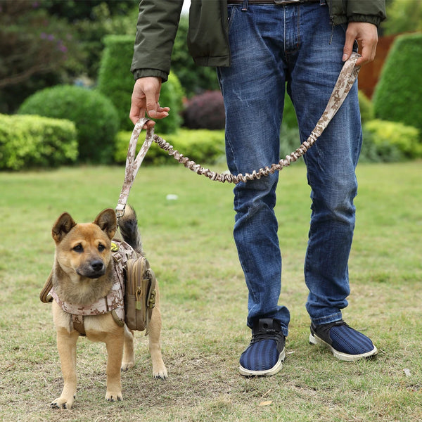 A person holds a heavy-duty tactical dog leash with dual handles and bungee attached to a small dog in a grassy outdoor setti