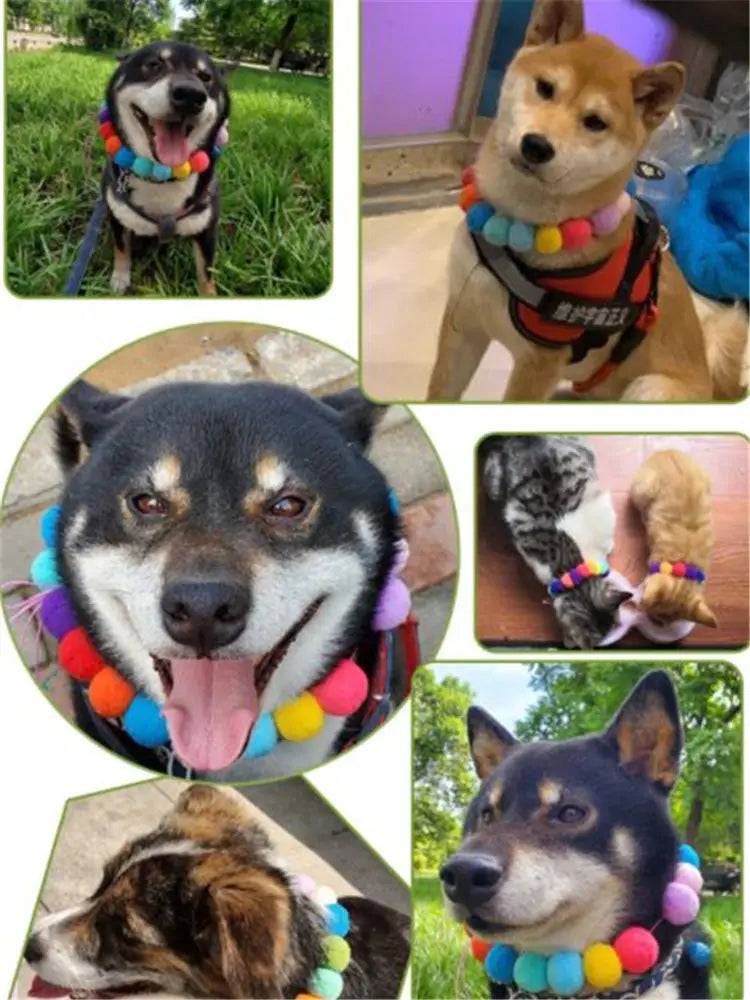 A collection of dogs wearing colorful rainbow flower pet collars and bow ties.