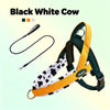 Harnais pour chien à thème vache noir et blanc avec laisse et médaille