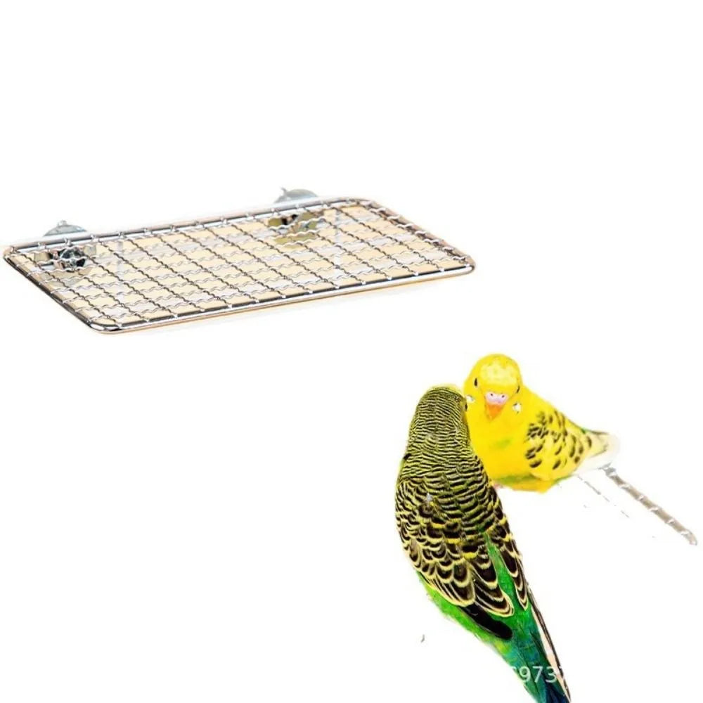 Stainless steel bird perch platform with wire mesh grid and a yellow bird