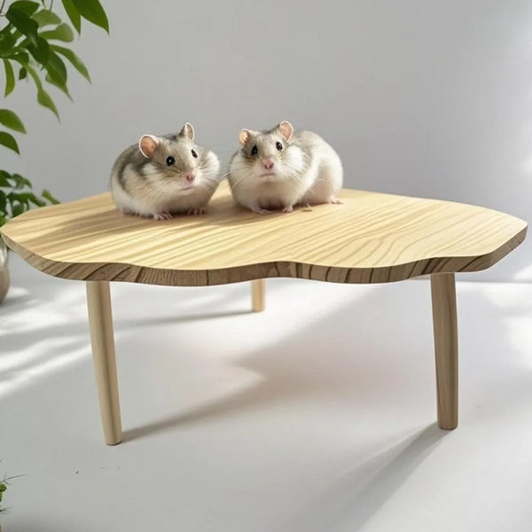 Two fluffy gray hamsters sitting on a light wood play platform.
