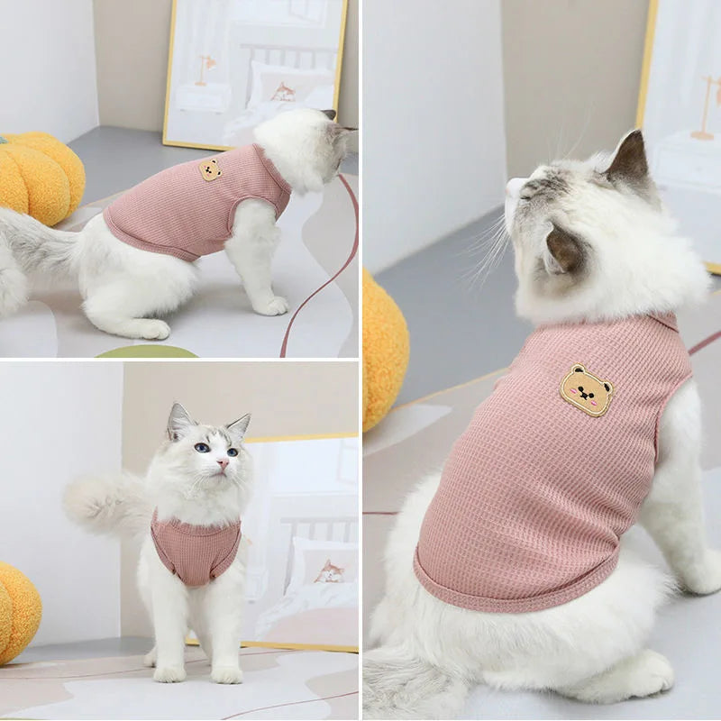 A pink knitted pet shirt for a white dog and cat, shown in various poses.