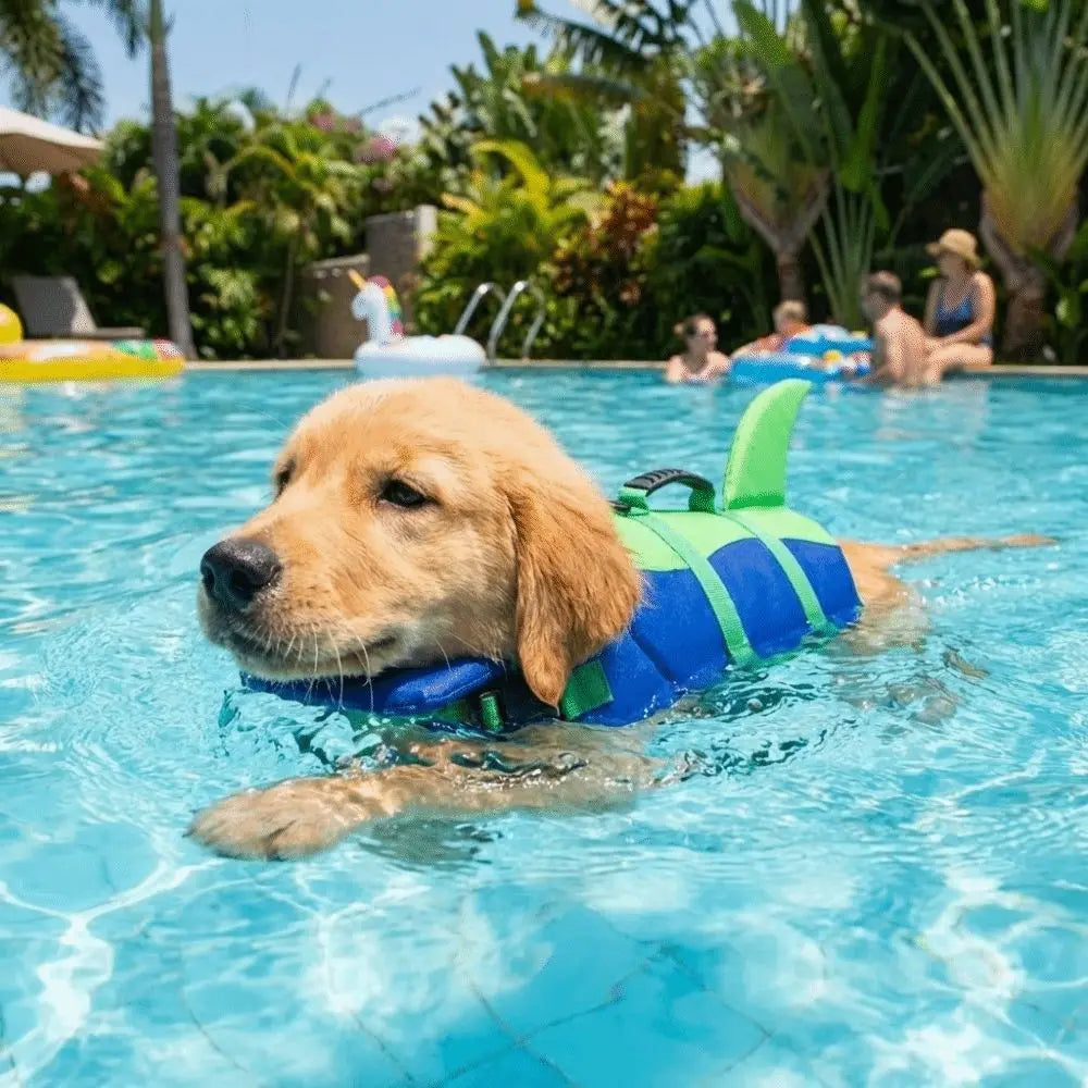 A golden retriever wearing a bright blue and green dog life vest swims in a clear pool.