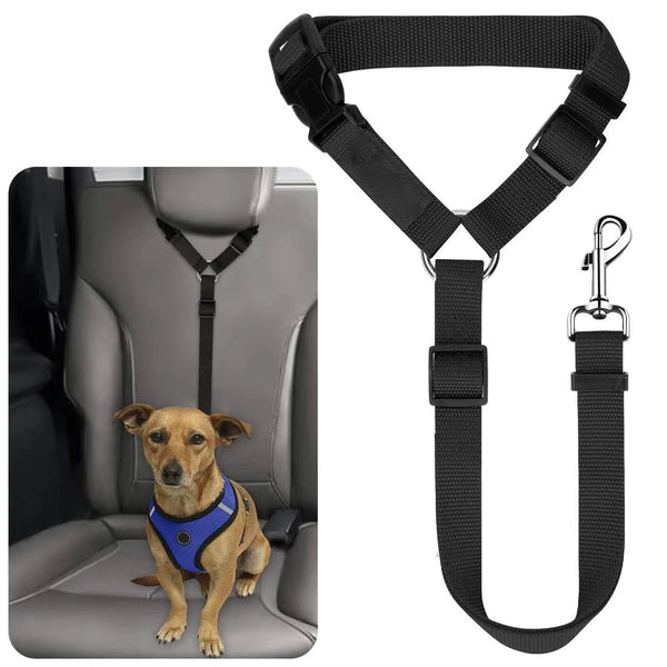 Black adjustable two-in-one dog harness and leash with a dog sitting in a car seat.
