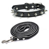 Black studded leather dog collar with metal rivets shown flat and coiled