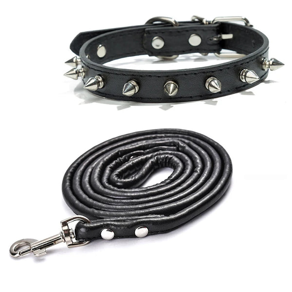 Black studded leather dog collar with metal rivets shown flat and coiled