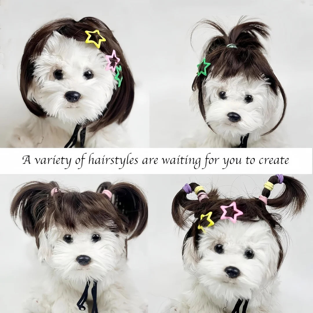 Drei Bilder verschiedener Frisuren auf einem Hunde-Kopfbedeckung für Cosplay