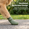A close-up of a dog's paw wearing olive green perforated silicone rain boots on a concrete surface.