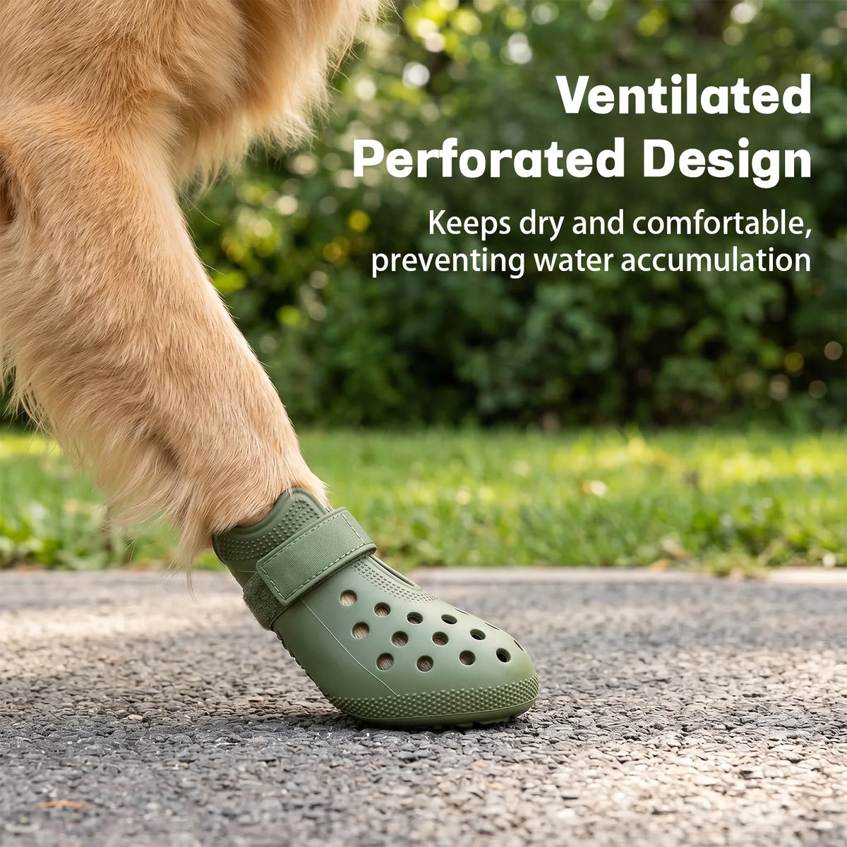 A close-up of a dog's paw wearing olive green perforated silicone rain boots on a concrete surface.