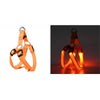 Arnés de perro LED naranja para seguridad, mostrado contra fondo oscuro.