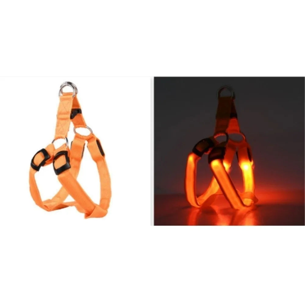 Arnés de perro LED naranja para seguridad, mostrado contra fondo oscuro.