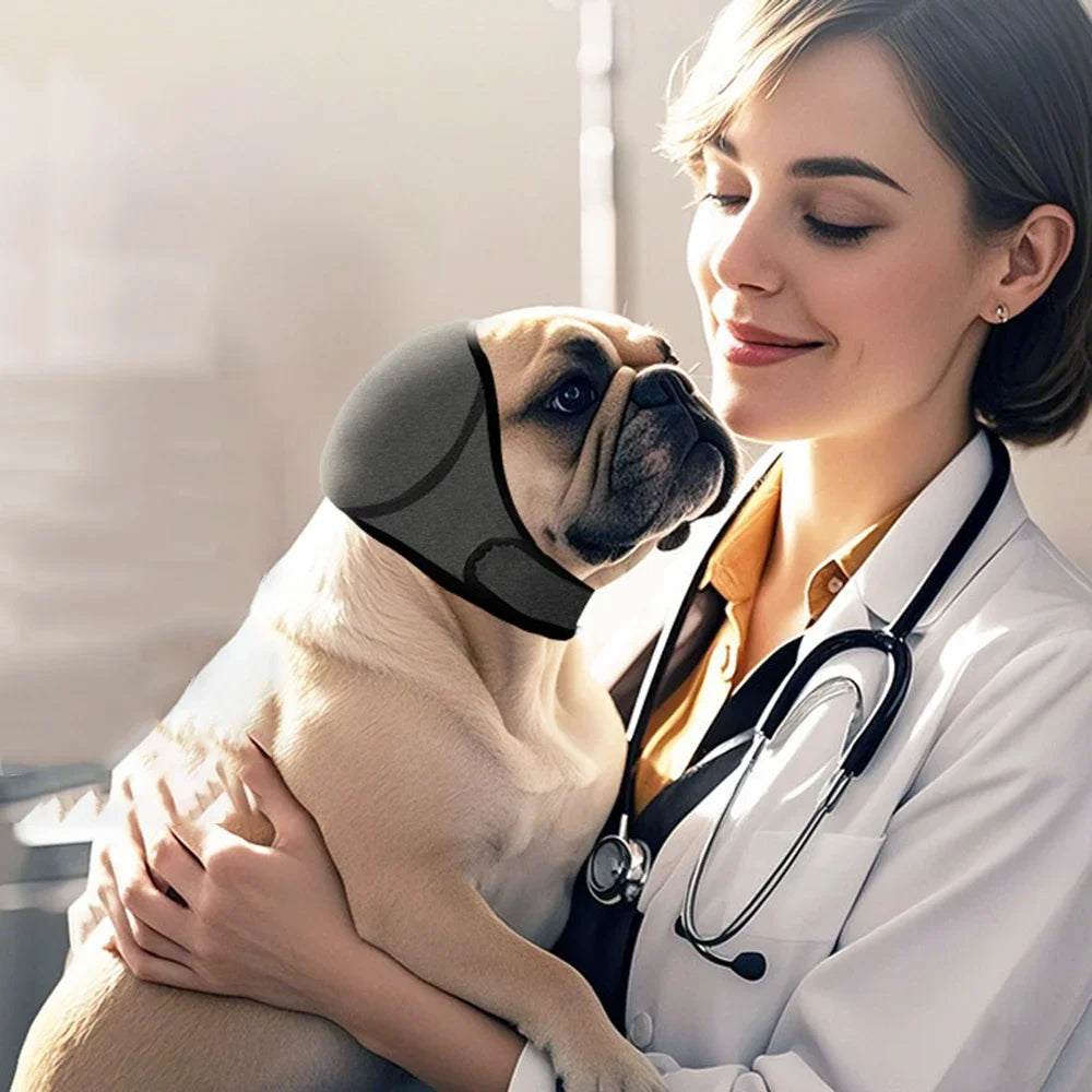 A woman wearing a white lab coat gently holds a dog while applying pet noise reduction ear muffs to the dog's head.